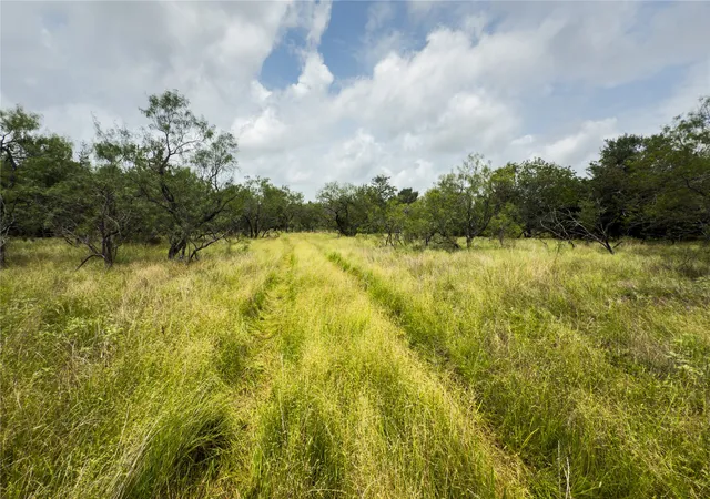 Photo 3 of Land for sale at Lot 4 County Road 173, Marlin, TX 76661 | MLS# 21157153 | Listing updated on 2026-09-15