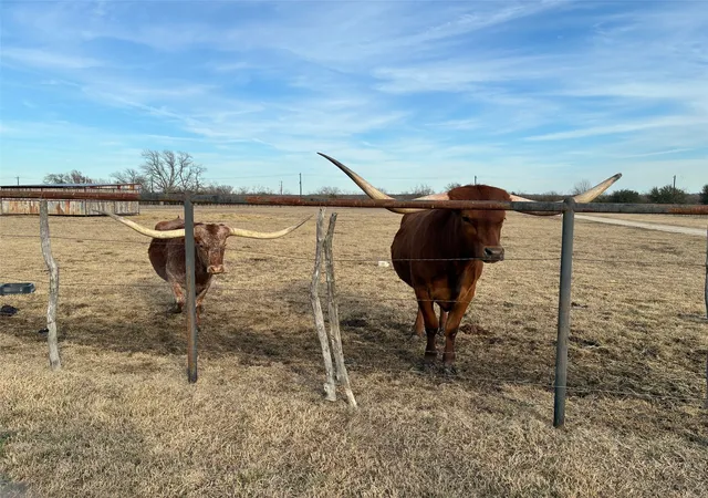 Photo 1 of Single family home for sale at 10917 County Road 290, Anna, TX 75409 | MLS# 21157366 | Listing updated on 2026-09-12