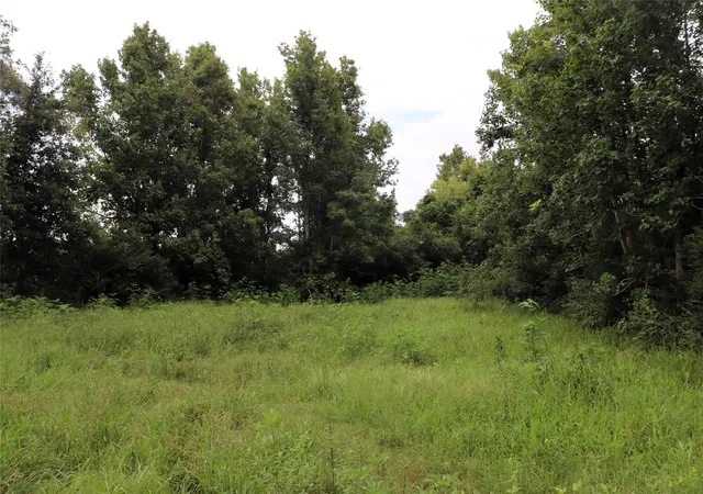 Photo 2 of Land for sale at 127 County Road 190, Liberty, TX 77575 | MLS# 21156842 | Listing updated on 2026-09-22