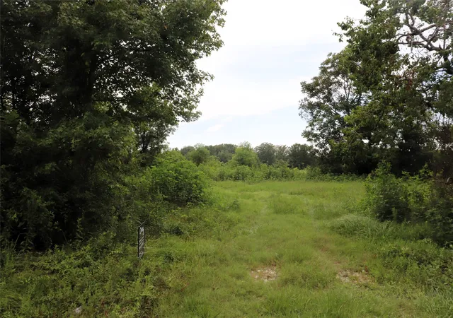 Photo 3 of Land for sale at 127 County Road 190, Liberty, TX 77575 | MLS# 21156842 | Listing updated on 2026-09-22