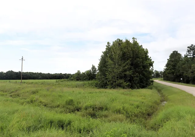 Photo 3 of Land for sale at 127 County Road 190, Liberty, TX 77575 | MLS# 21156842 | Listing updated on 2026-09-22