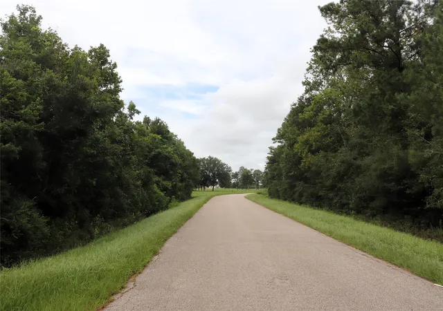 Photo 4 of Land for sale at 127 County Road 190, Liberty, TX 77575 | MLS# 21156842 | Listing updated on 2026-09-22