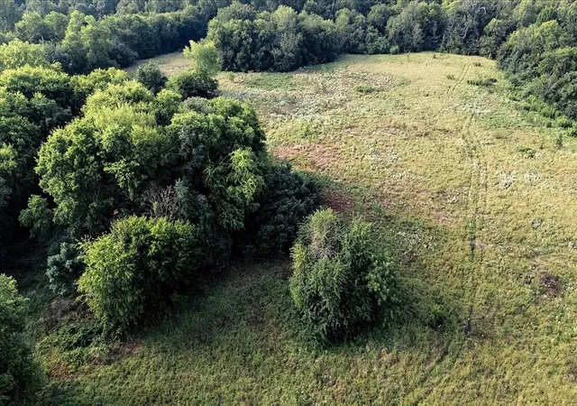 Photo 4 of Land for sale at Tbd County Road 496, Lindale, TX 75771 | MLS# 21161027 | Listing updated on 2026-09-16