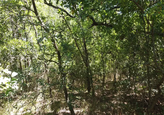 Photo 3 of Land for sale at 4189 Willow Oak Bnd, Royse City, TX 75189 | MLS# 21159229 | Listing updated on 2026-07-29
