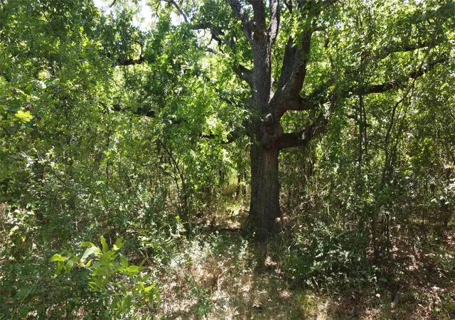 Photo 3 of Land for sale at 4189 Willow Oak Bnd, Royse City, TX 75189 | MLS# 21159229 | Listing updated on 2026-07-29