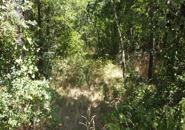 Photo 4 of Land for sale at 4189 Willow Oak Bnd, Royse City, TX 75189 | MLS# 21159229 | Listing updated on 2026-07-29