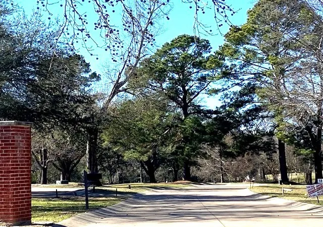 Photo 2 of Land for sale at Lot 8 Belmont Dr, Athens, TX 75751 | MLS# 21162437 | Listing updated on 2026-07-30