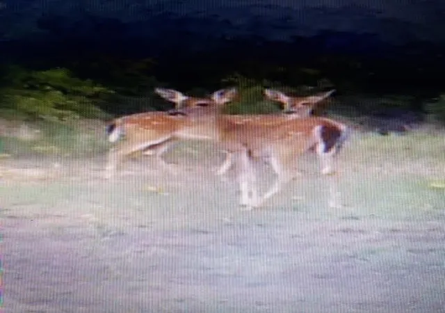 Photo 3 of Land for sale at 000 Turpin Lake Road, Poolville, TX 76487 | MLS# 21161935 | Listing updated on 2026-09-08