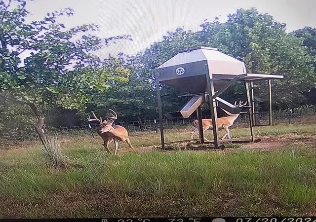Photo 3 of Land for sale at 000 Turpin Lake Road, Poolville, TX 76487 | MLS# 21161935 | Listing updated on 2026-09-08