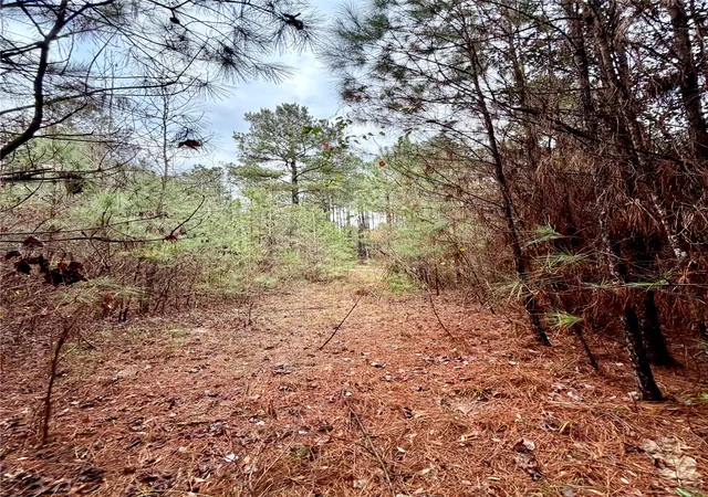 Photo 3 of Sale Pending at Lot 5A Hicks Rd, Benton, LA 71006 | MLS# 21166188 | Listing updated on 2026-09-08