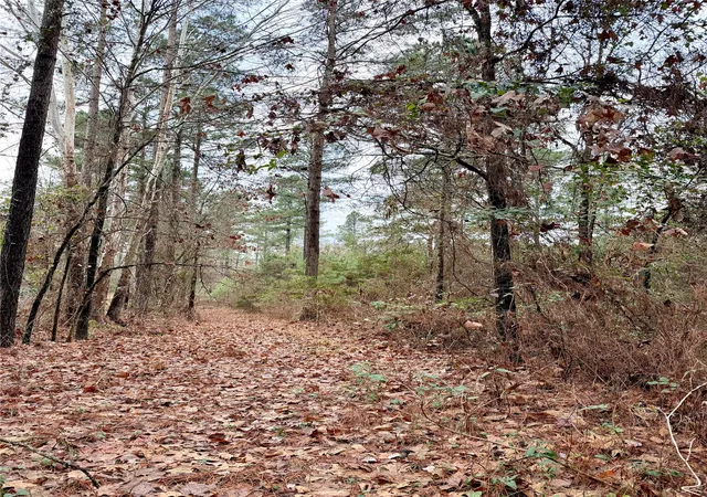 Photo 4 of Sale Pending at Lot 5A Hicks Rd, Benton, LA 71006 | MLS# 21166188 | Listing updated on 2026-09-08
