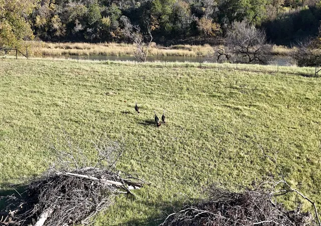 Photo 2 of Land for sale at Lot 187 Wooded Acres Dr, Mineral Wells, TX 76067 | MLS# 21168597 | Listing updated on 2026-09-09