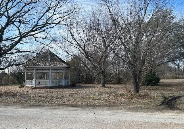 Photo 1 of Land for sale at Tbd 81 Ac Wallace St, Whitewright, TX 75491 | MLS# 21170900 | Listing updated on 2026-07-28