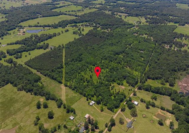 Photo 3 of Land for sale at Tbd County Road 1450, Mount Pleasant, TX 75455 | MLS# 21171425 | Listing updated on 2026-07-29