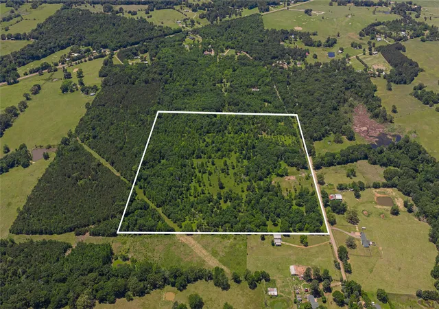 Photo 4 of Land for sale at Tbd County Road 1450, Mount Pleasant, TX 75455 | MLS# 21171425 | Listing updated on 2026-07-29