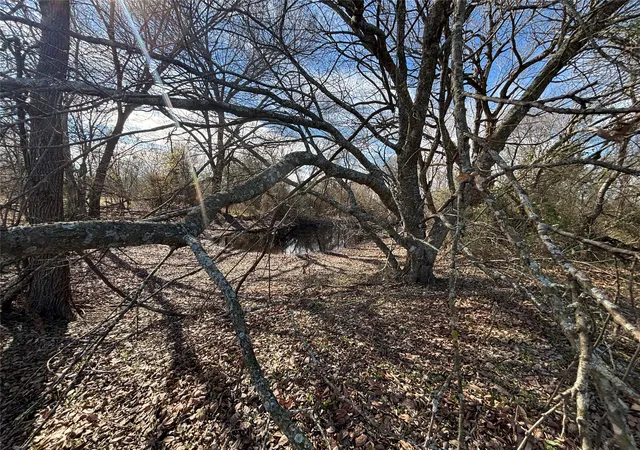 Photo 4 of Sale Pending at Tbd Cr-2138, Kemp, TX 75143 | MLS# 21173613 | Listing updated on 2026-07-31