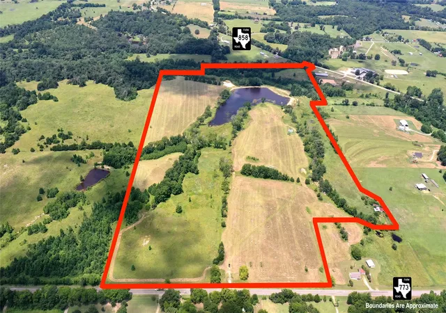 Photo 1 of Land for sale at 13530 Fm 773, Ben Wheeler, TX 75754 | MLS# 21174562 | Listing updated on 2026-07-31