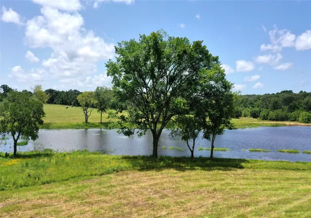 Photo 3 of Land for sale at 13530 Fm 773, Ben Wheeler, TX 75754 | MLS# 21174562 | Listing updated on 2026-07-31