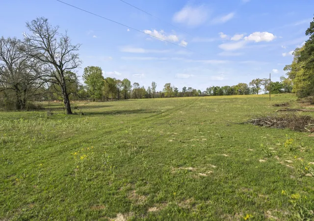 Photo 1 of Land for sale at 000 County Road 4663, Mount Pleasant, TX 75455 | MLS# 21175832 | Listing updated on 2026-08-31