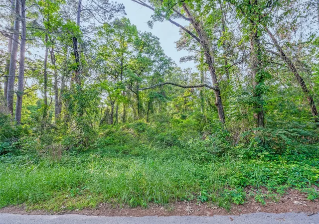 Photo 2 of Land for sale at ) Forest Hill Dr, Frankston, TX 75763 | MLS# 21179157 | Listing updated on 2026-09-09
