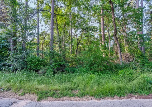Photo 3 of Land for sale at ) Forest Hill Dr, Frankston, TX 75763 | MLS# 21179157 | Listing updated on 2026-09-09