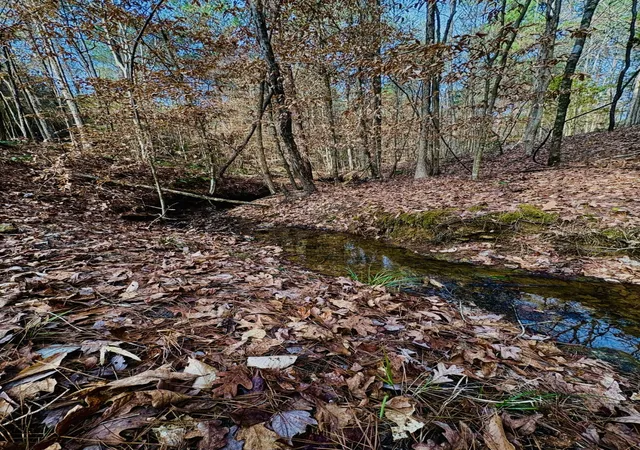 Photo 2 of Land for sale at Tbd (lot 59) County Road 1060, Center, TX 75935 | MLS# 21179972 | Listing updated on 2026-09-18