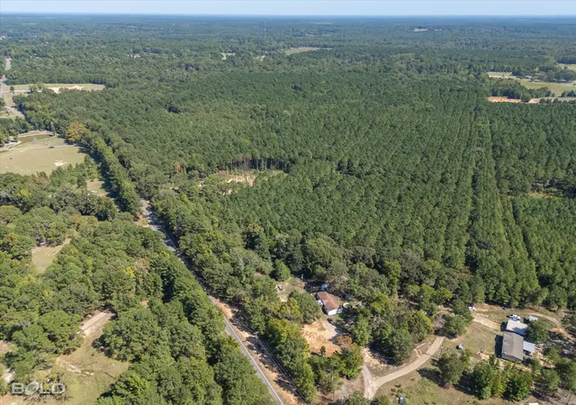 Photo 3 of Land for sale at 0 Old Plain Dealing, Plain Dealing, LA 71064 | MLS# 21181171 | Listing updated on 2026-09-09