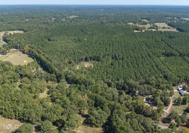Photo 4 of Land for sale at 0 Old Plain Dealing, Plain Dealing, LA 71064 | MLS# 21181171 | Listing updated on 2026-09-09