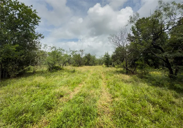 Photo 4 of Land for sale at Lot 10 County Road 173, Marlin, TX 76661 | MLS# 21183513 | Listing updated on 2026-09-15
