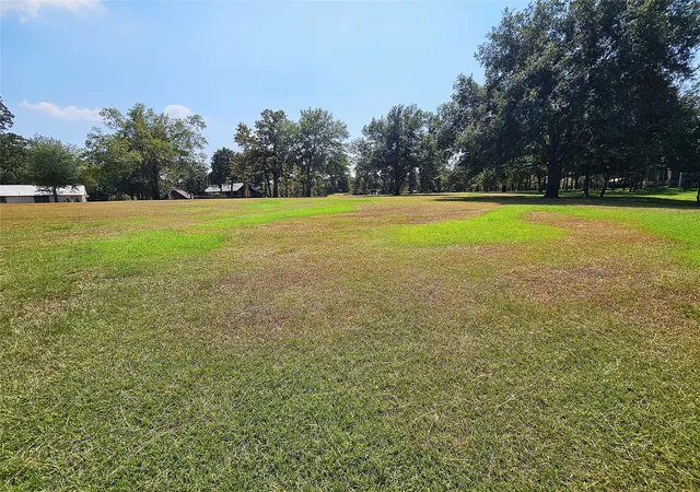 Photo 2 of Land for sale at Lots 9 & 10 Lcr 740, Thornton, TX 76687 | MLS# 21172085 | Listing updated on 2026-09-10