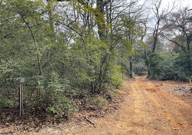 Photo 40 of Single family home for sale at 236 Private Road 247, Oakwood, TX 75855 | MLS# 21182618 | Listing updated on 2026-07-31