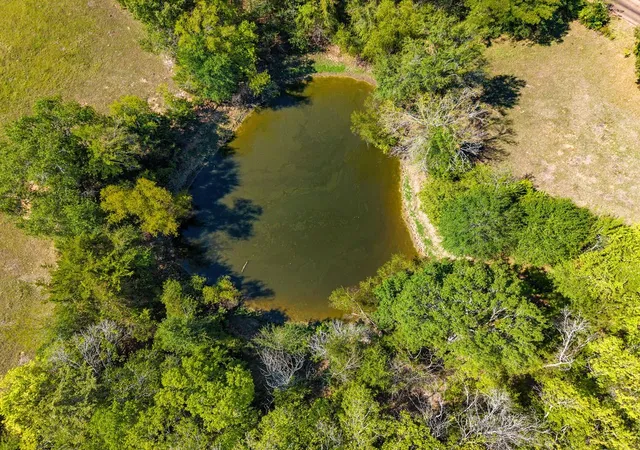 Photo 2 of Land for sale at 741 County Road 1222, Grand Saline, TX 75140 | MLS# 21191571 | Listing updated on 2026-09-10