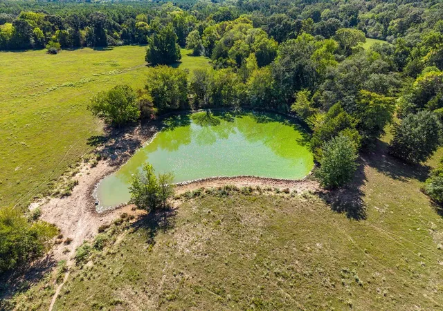 Photo 3 of Land for sale at 741 County Road 1222, Grand Saline, TX 75140 | MLS# 21191571 | Listing updated on 2026-09-10
