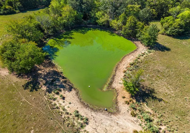 Photo 3 of House for sale at 741 County Road 1222, Grand Saline, TX 75140 | MLS# 21191571 | Listing updated on 2026-09-10