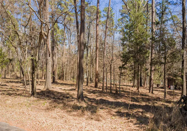 Photo 3 of Land for sale at Tbd King Larry, Scroggins, TX 75480 | MLS# 21196159 | Listing updated on 2026-09-10