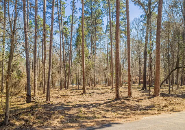 Photo 3 of Land for sale at Tbd King Larry, Scroggins, TX 75480 | MLS# 21196159 | Listing updated on 2026-09-10