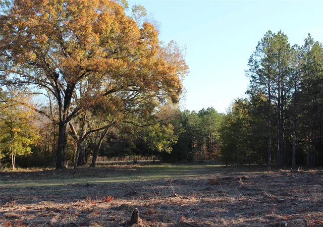 Photo 39 of Single family home for sale at 1070 Piney Grove, Rusk, TX 75785 | MLS# 21196982 | Listing updated on 2026-09-14