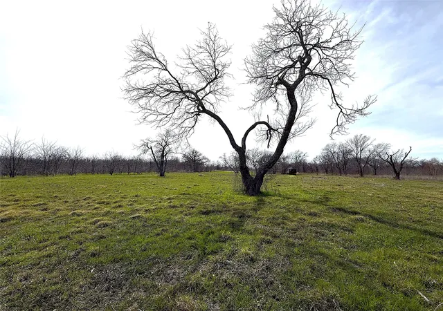 Photo 3 of Land for sale at 8437 Edgewater Dr, Seven Points, TX 75143 | MLS# 21199470 | Listing updated on 2026-07-29