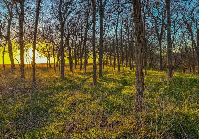 Photo 3 of Sale Pending at Tbd Round Hall Rd, Holland, TX 76534 | MLS# 21203895 | Listing updated on 2026-09-10