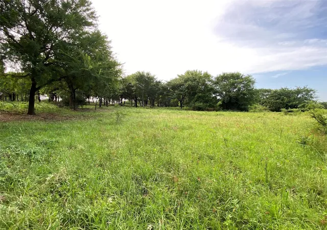 Land for sale at Tbd E Farm To Market 455, Pilot Point, TX 76258 | MLS# 21196036