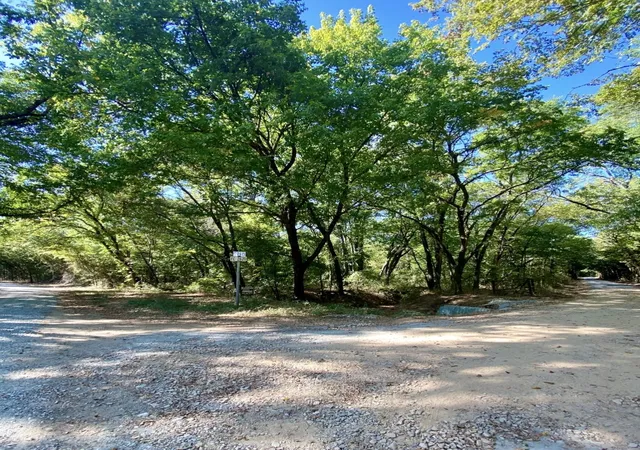 Photo 1 of Land for sale at Tbd County Road 2615, Bonham, TX 75418 | MLS# 21208151 | Listing updated on 2026-09-11
