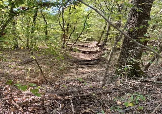 Photo 2 of Land for sale at Tbd County Road 2615, Bonham, TX 75418 | MLS# 21208151 | Listing updated on 2026-09-11