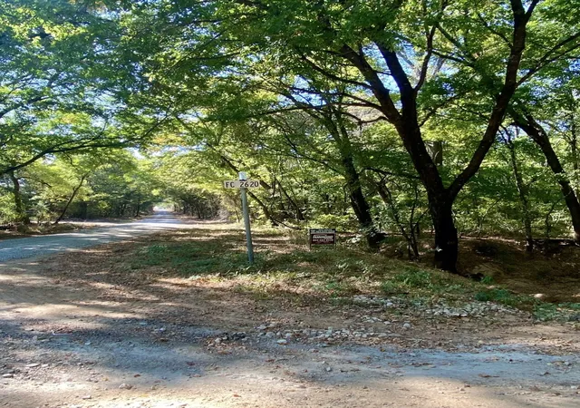 Photo 3 of Land for sale at Tbd County Road 2615, Bonham, TX 75418 | MLS# 21208151 | Listing updated on 2026-09-11