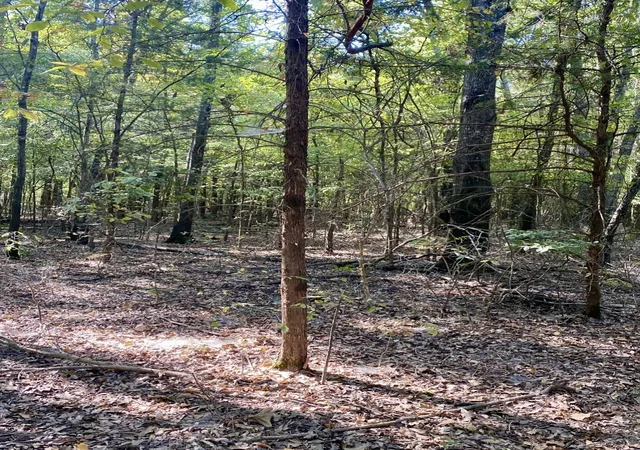 Photo 3 of Land for sale at Tbd County Road 2615, Bonham, TX 75418 | MLS# 21208151 | Listing updated on 2026-09-11