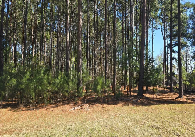 Photo 22 of Land for sale at 00 Trophy, Larue, TX 75770 | MLS# 21209697 | Listing updated on 2026-07-31