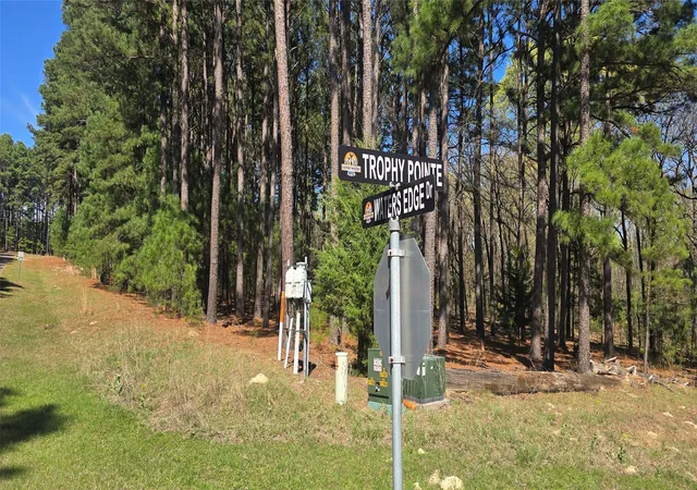 Photo 3 of Land for sale at 00 Trophy, Larue, TX 75770 | MLS# 21209697 | Listing updated on 2026-07-31