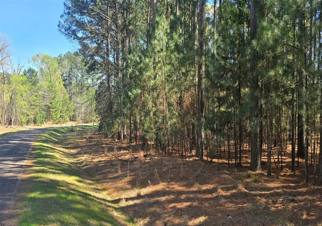 Photo 4 of Land for sale at 00 Trophy, Larue, TX 75770 | MLS# 21209697 | Listing updated on 2026-07-31