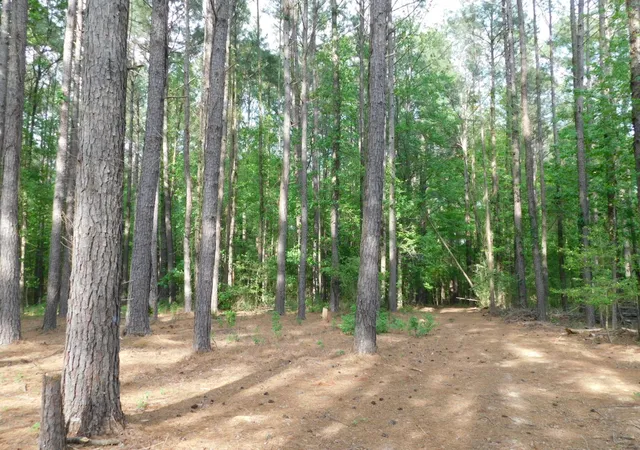 Photo 2 of Single family home for sale at 165 Rosewood Rd, Springhill, LA 71075 | MLS# 21211837 | Listing updated on 2026-09-10