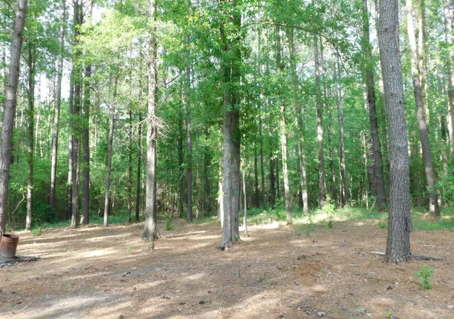 Photo 3 of Single family home for sale at 165 Rosewood Rd, Springhill, LA 71075 | MLS# 21211837 | Listing updated on 2026-09-10