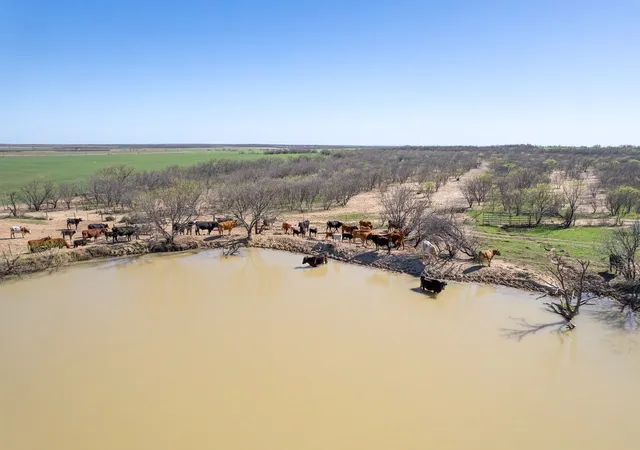 Photo 1 of Land for sale at Tbd Cr 300, Coleman, TX 76834 | MLS# 21210898 | Listing updated on 2026-09-08